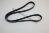 AUTOMEGA 30100110696 V-Ribbed Belts